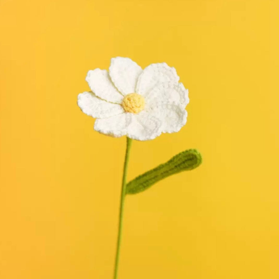 LayAura white CROCHET COSMOS FLOWER